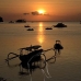 sunset_nlem_v_0635_bal3928.jpg